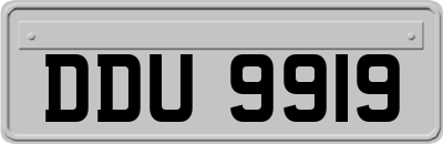 DDU9919