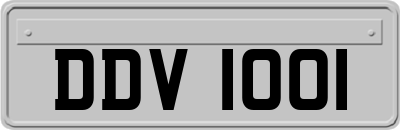 DDV1001