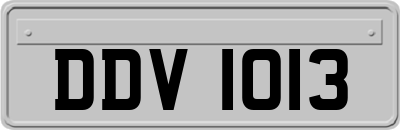 DDV1013