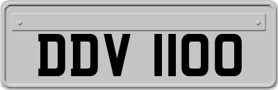 DDV1100
