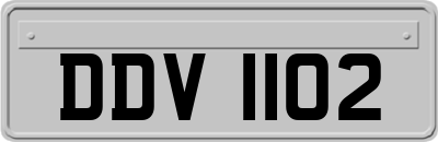 DDV1102