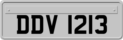 DDV1213
