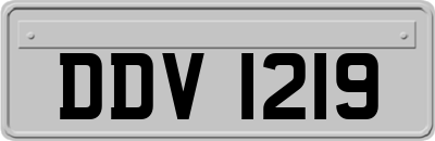 DDV1219