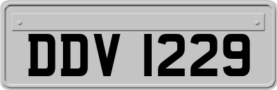 DDV1229