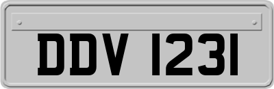 DDV1231