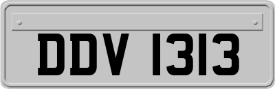 DDV1313