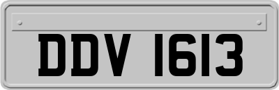 DDV1613