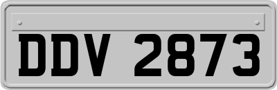 DDV2873