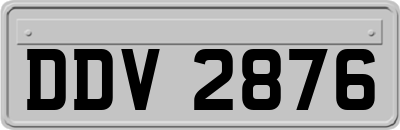 DDV2876