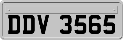 DDV3565