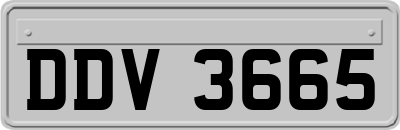 DDV3665
