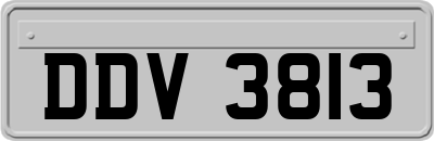 DDV3813