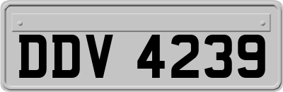 DDV4239