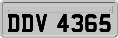 DDV4365