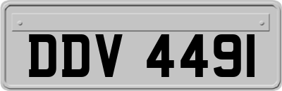 DDV4491