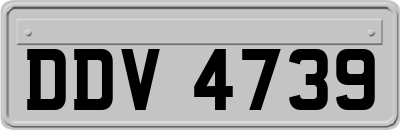 DDV4739