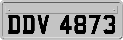 DDV4873
