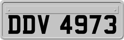 DDV4973