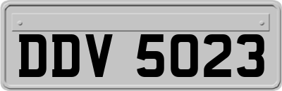 DDV5023