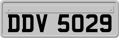 DDV5029