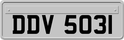 DDV5031