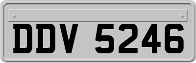 DDV5246