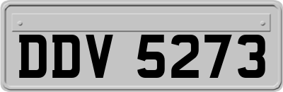DDV5273