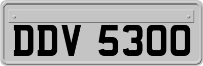 DDV5300