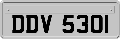 DDV5301