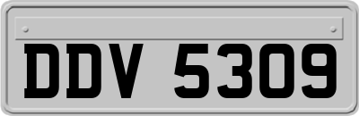 DDV5309