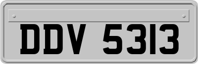 DDV5313