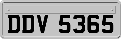 DDV5365