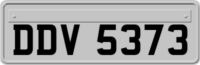 DDV5373