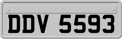 DDV5593