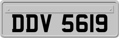 DDV5619