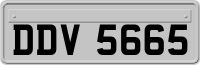 DDV5665