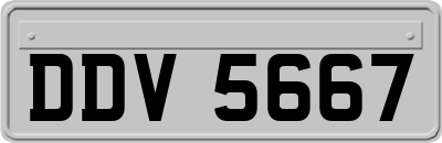 DDV5667