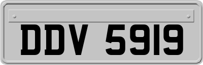 DDV5919