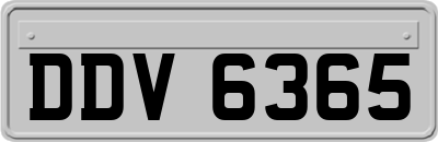 DDV6365