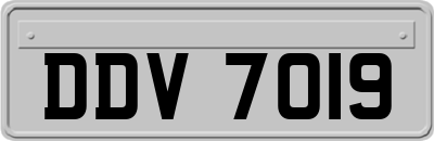 DDV7019