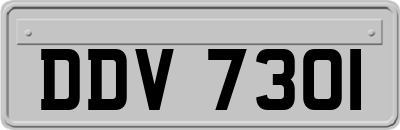 DDV7301