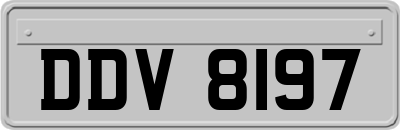 DDV8197