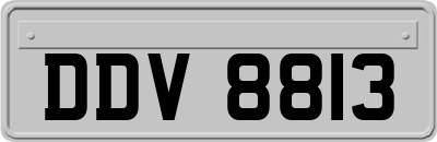 DDV8813