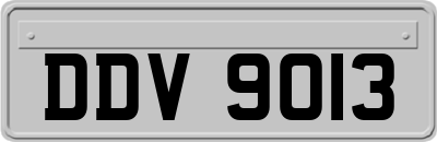 DDV9013