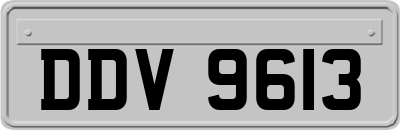DDV9613
