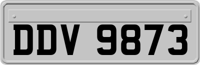 DDV9873