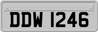 DDW1246