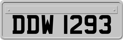 DDW1293