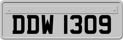 DDW1309