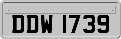 DDW1739
